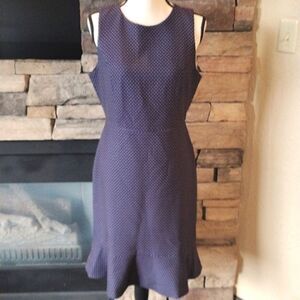 NWOT J. Crew Polka Dot Dress